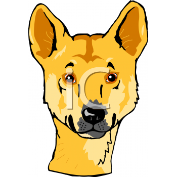 Dingo Clipart