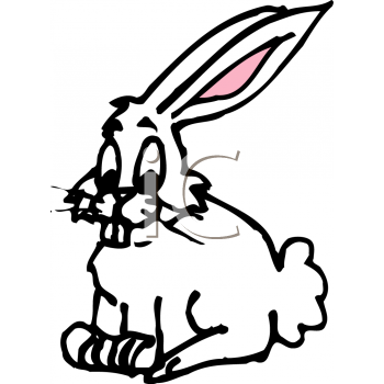 Rabbit Clipart