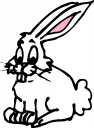 Rabbit Clipart