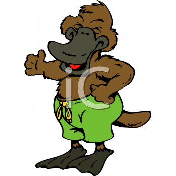 Platypus Clipart