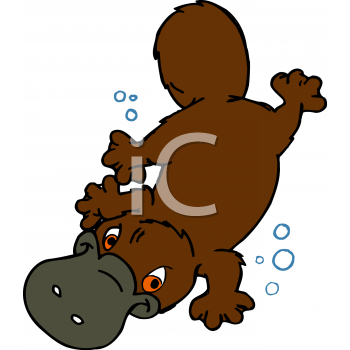 Platypus Clipart