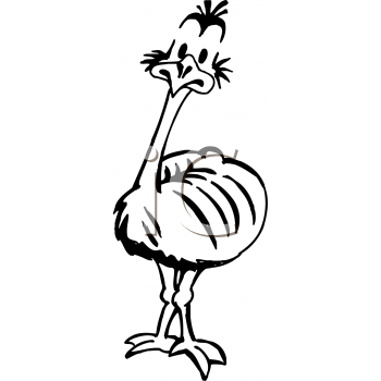 Ostrich Clipart