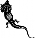 Reptile Clipart