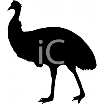 Ostrich Clipart