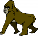 Gorilla Clipart