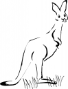 Kangaroo Clipart