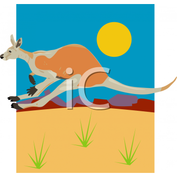 Kangaroo Clipart