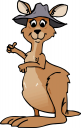 Kangaroo Clipart