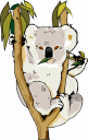 Koala Clipart