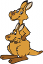 Kangaroo Clipart