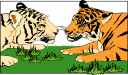 Tiger Clipart