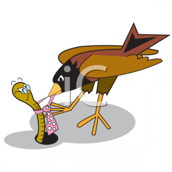 Bird Clipart