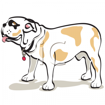 Pet Clipart