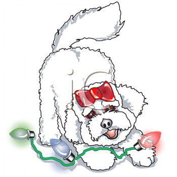 Pet Clipart