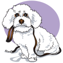 Pet Clipart