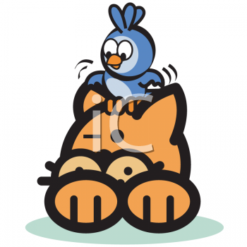 Bird Clipart