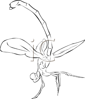 Dragonfly Clipart