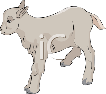 Goat Clipart