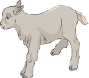 Goat Clipart