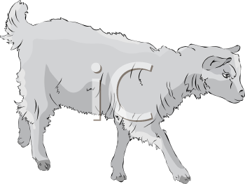 Goat Clipart