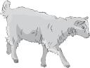 Goat Clipart