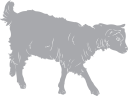 Goat Clipart