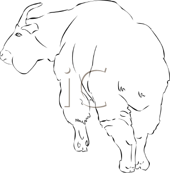 Goat Clipart