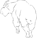 Goat Clipart