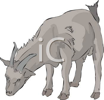 Goat Clipart