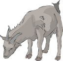 Goat Clipart