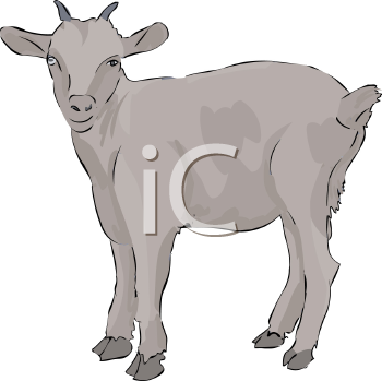 Goat Clipart