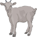 Goat Clipart