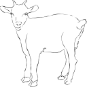 Goat Clipart