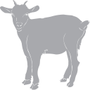 Goat Clipart