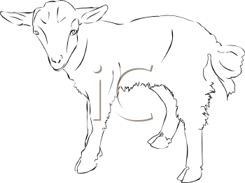 Goat Clipart