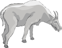 Goat Clipart