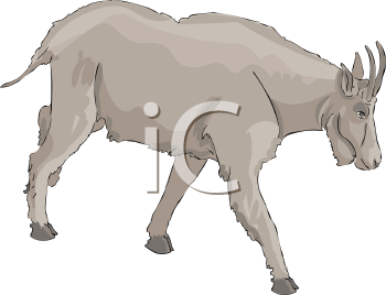 Goat Clipart