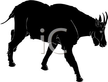 Goat Clipart