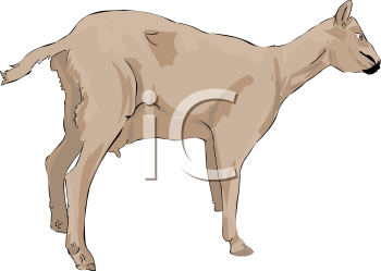 Goat Clipart