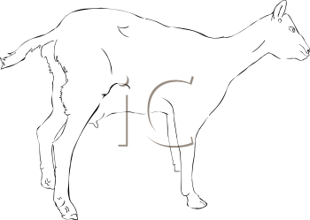 Goat Clipart