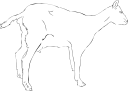 Goat Clipart