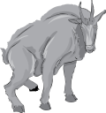 Goat Clipart