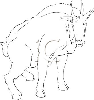 Goat Clipart