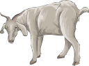 Goat Clipart