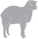 Goat Clipart