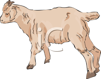 Goat Clipart