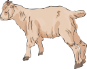 Goat Clipart