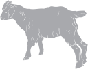 Goat Clipart