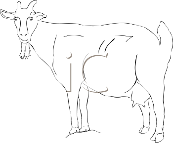 Goat Clipart