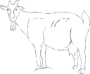 Goat Clipart